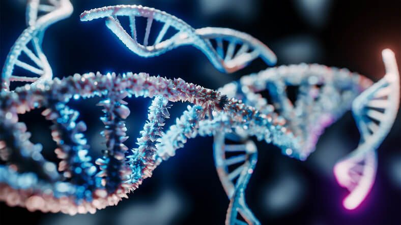 CYP2D6: The Gene That Plays A Major Role In Drug Metabolism